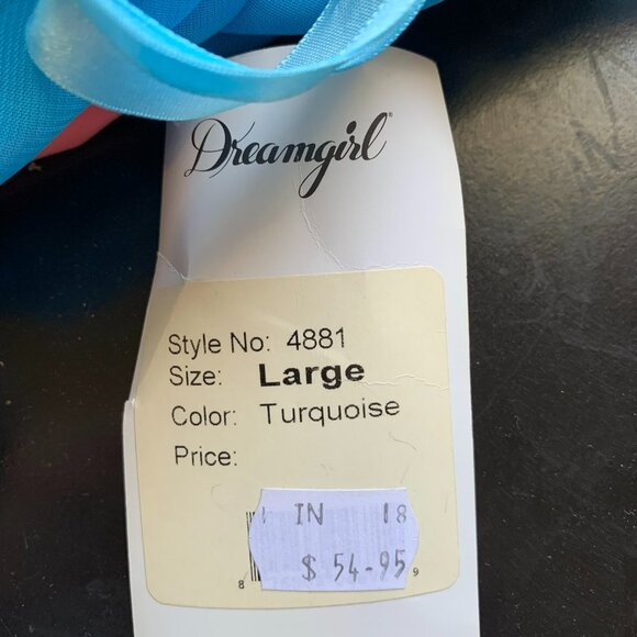 Baby Doll Dreamgirl Lingerie 3 Karat Gem Chiffon Halter Jewel Trim Sz Large - Picture 8 of 10